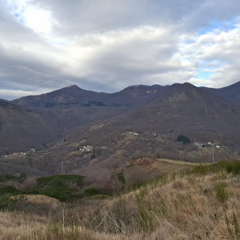 Fotosegnalazione di Zeri