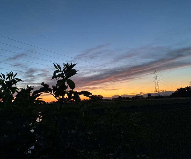 Fotosegnalazione di Palazzolo sull'oglio