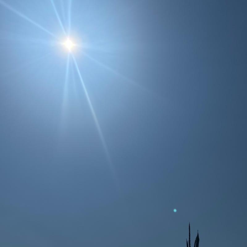 Fotosegnalazione di Palazzolo sull'oglio