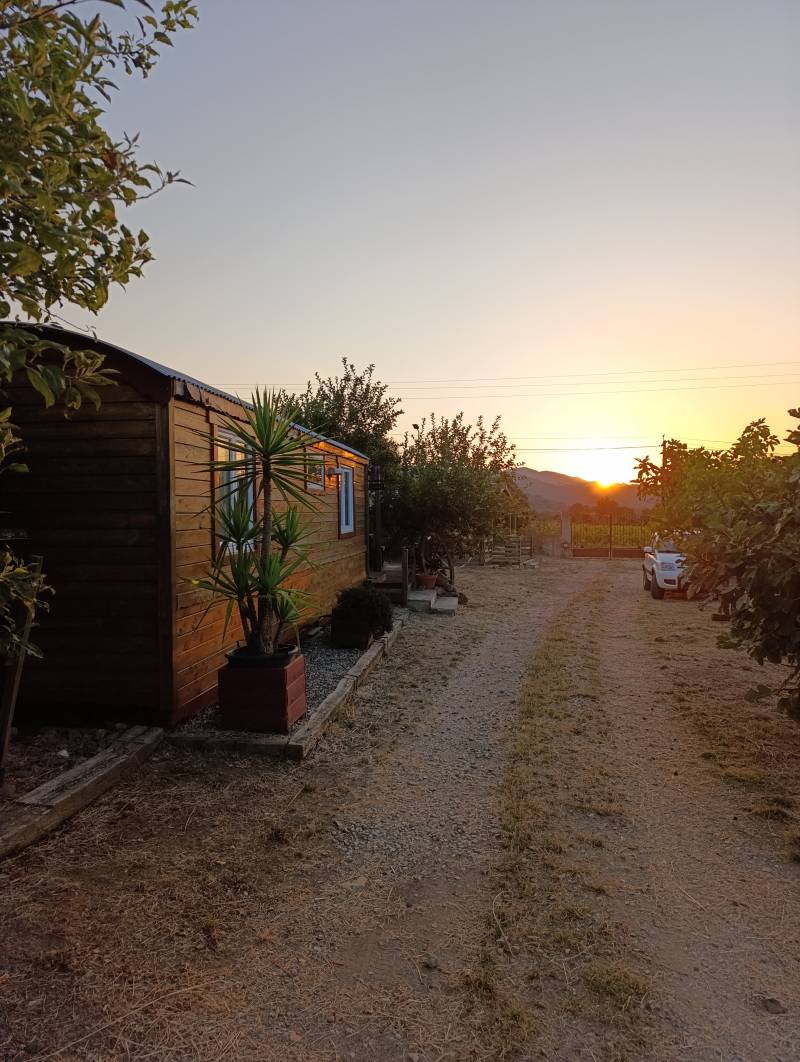 Oletta Vicciolaja Ranch