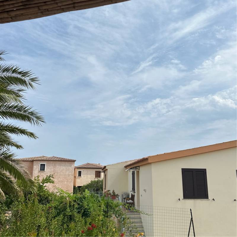 Fotosegnalazione di Olbia pittolongu - osseddu
