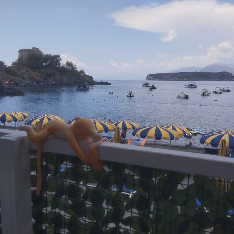 Fotosegnalazione di San nicola arcella