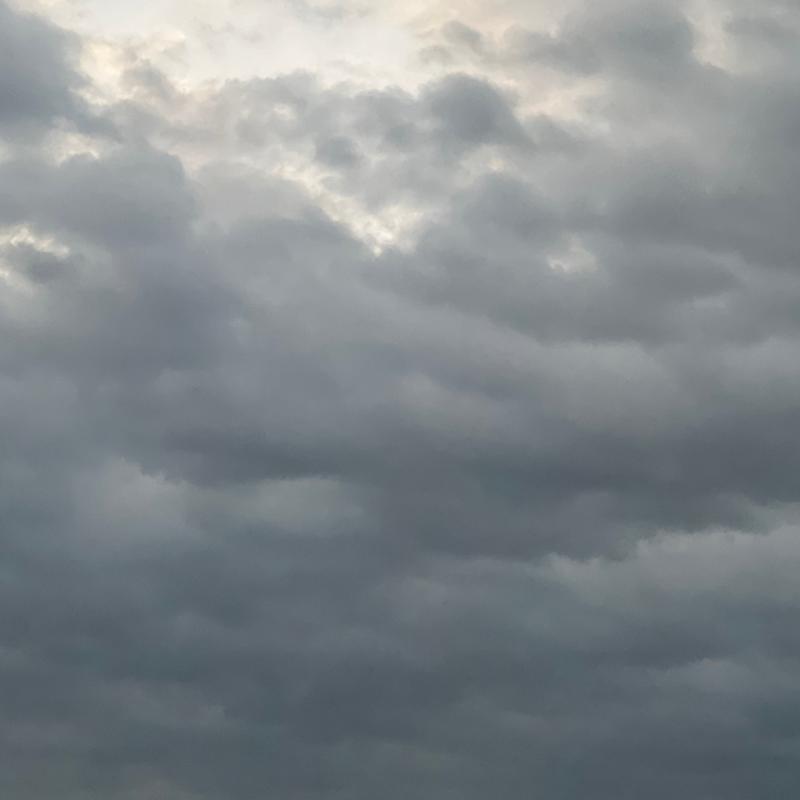 Fotosegnalazione di Fidenza