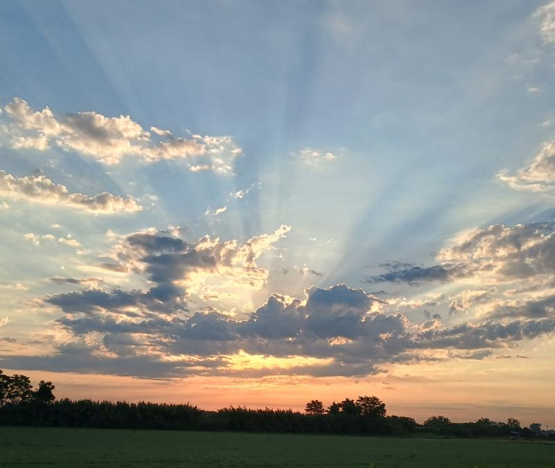 alba a s germano