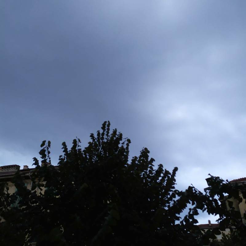 Tempo attuale in zona cenisia