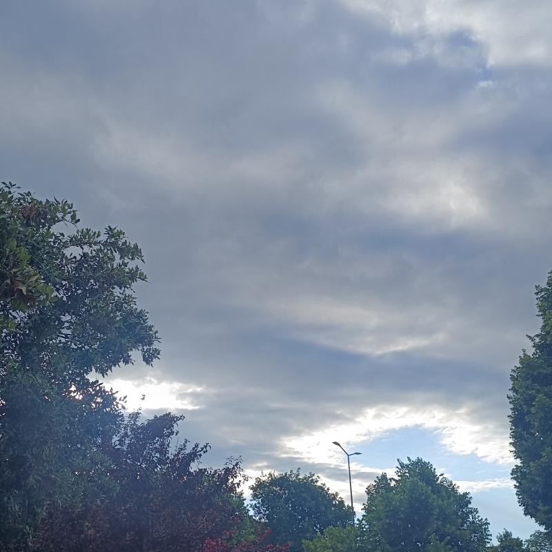 Fotosegnalazione di Cassino