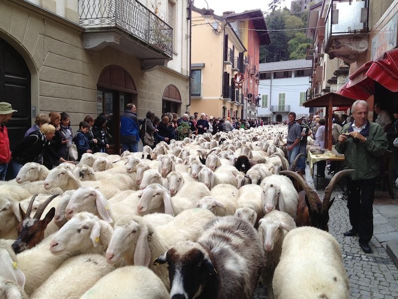 Transumanza a pont