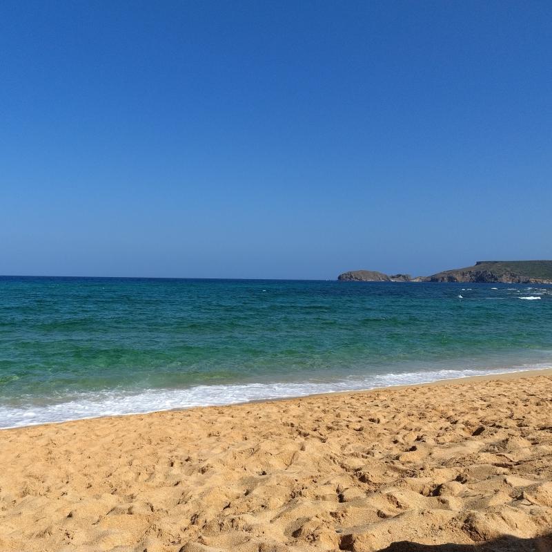 Fotosegnalazione di Pistis