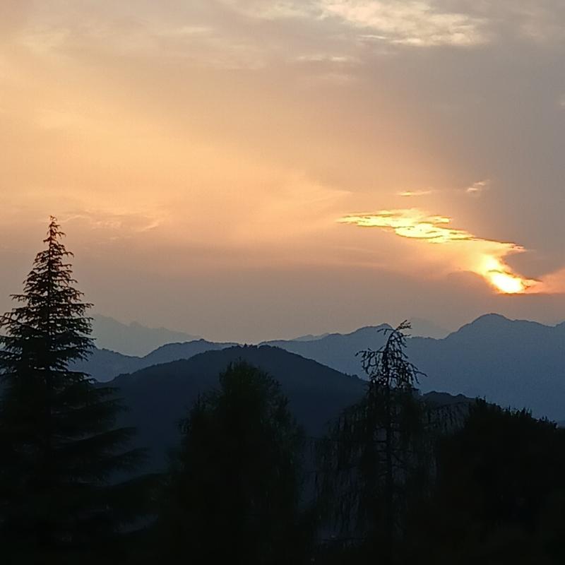 Fotosegnalazione di Aviatico