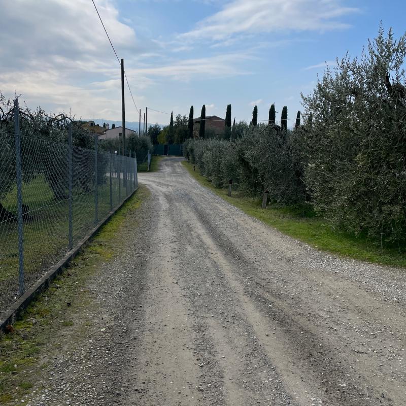 Fotosegnalazione di Certaldo