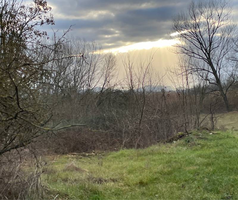 Fotosegnalazione di Castelfiorentino