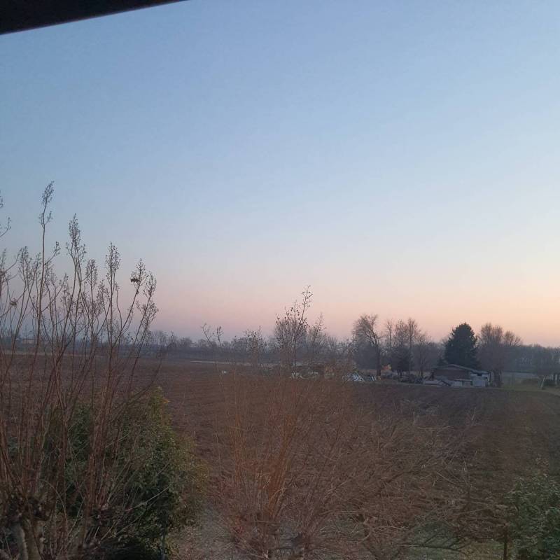 Lunedi' 18 gennaio 2021 ore 1707