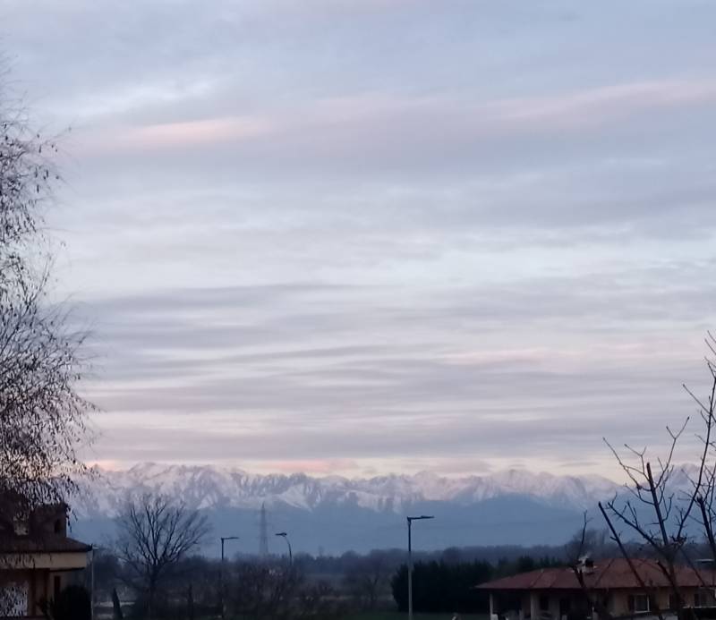 velature