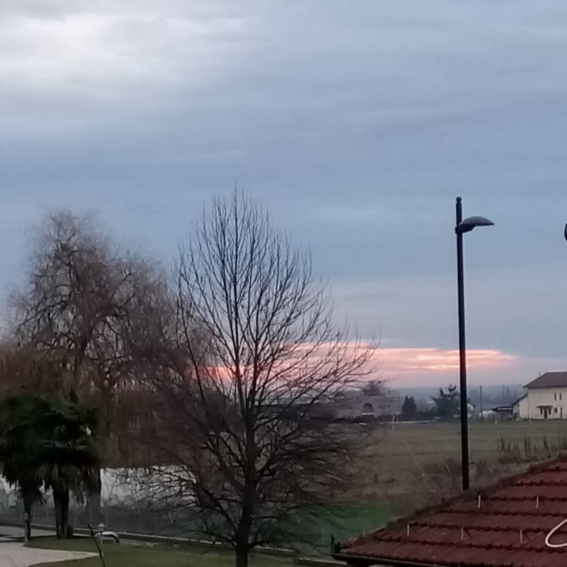 alba
