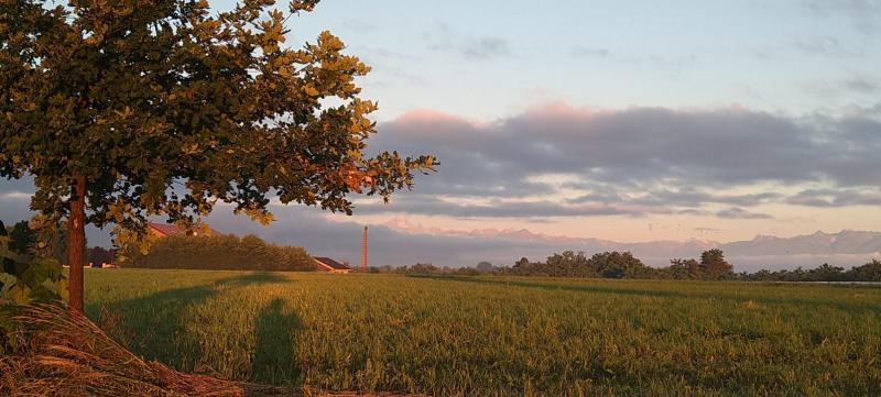 passeggiando nella campagna
