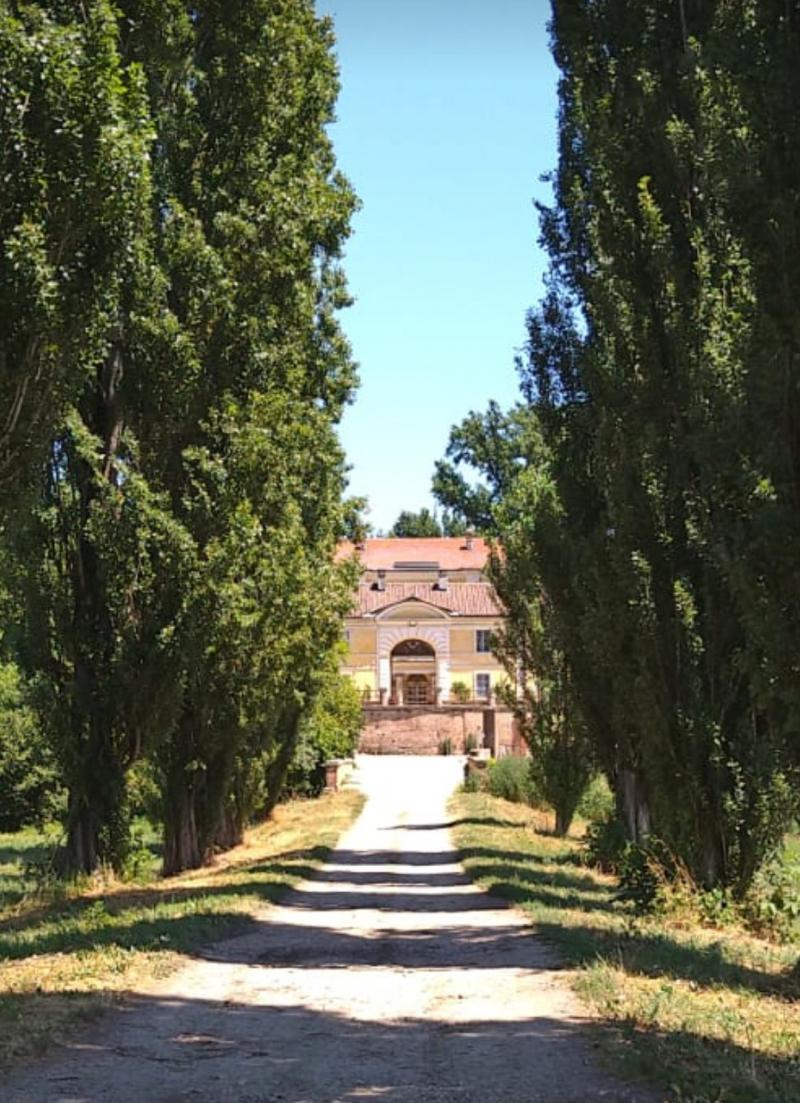 borgo cornalese....viale