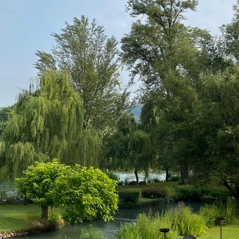 La finestra sul fiume bb