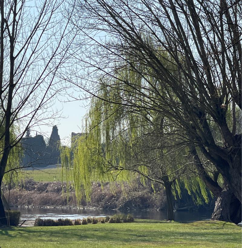 La finestra sul fiume