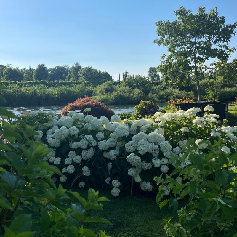 Fotosegnalazione di Valeggio sul mincio