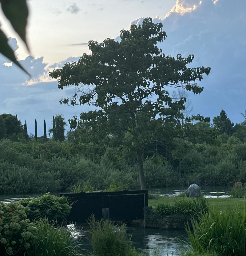 Fotosegnalazione di Parco giardino sigurta'