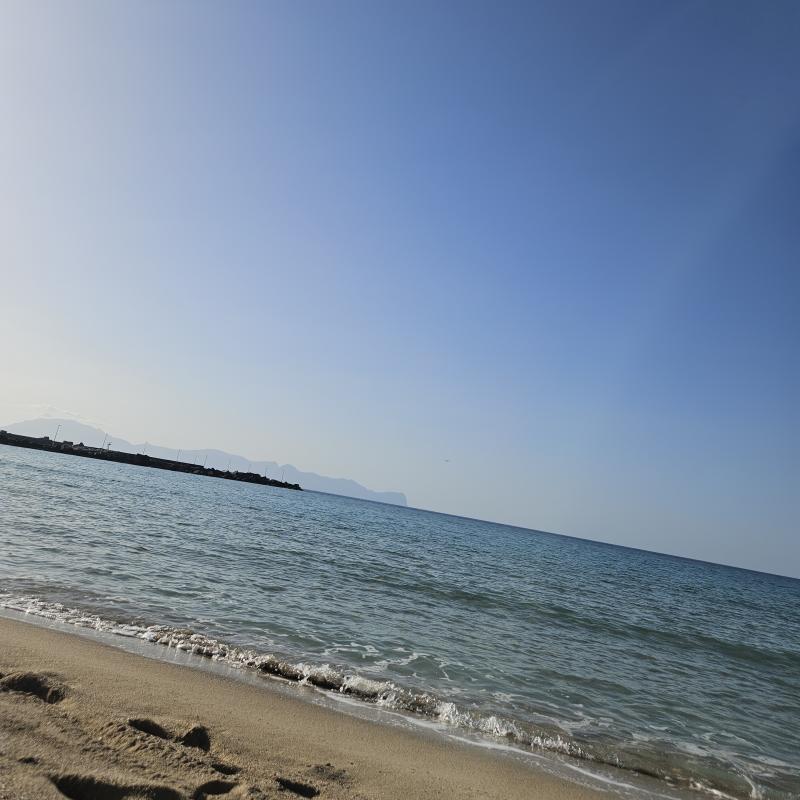 Magaggiari 271124