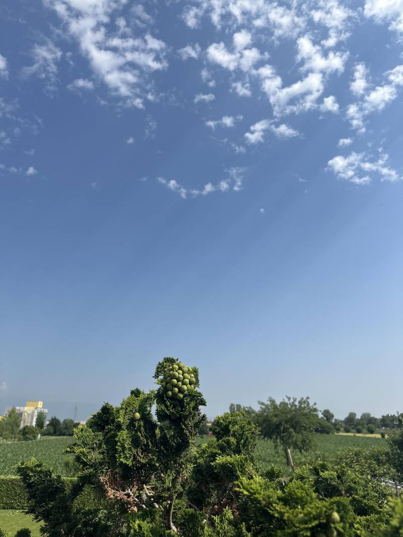 cielo di oggi