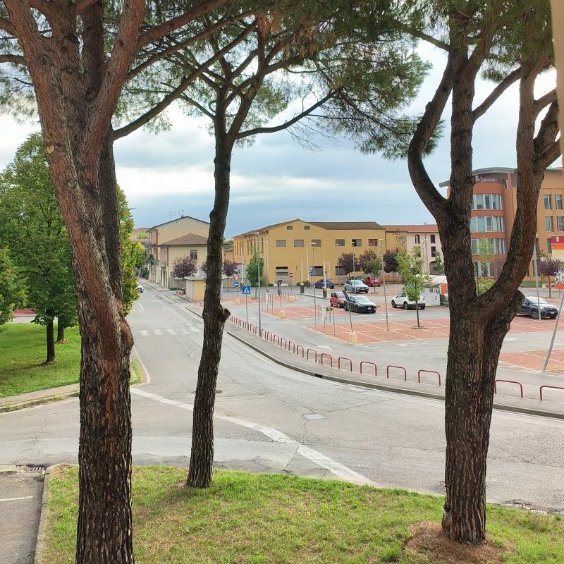 Come al solito previsione sbagliata in pieno