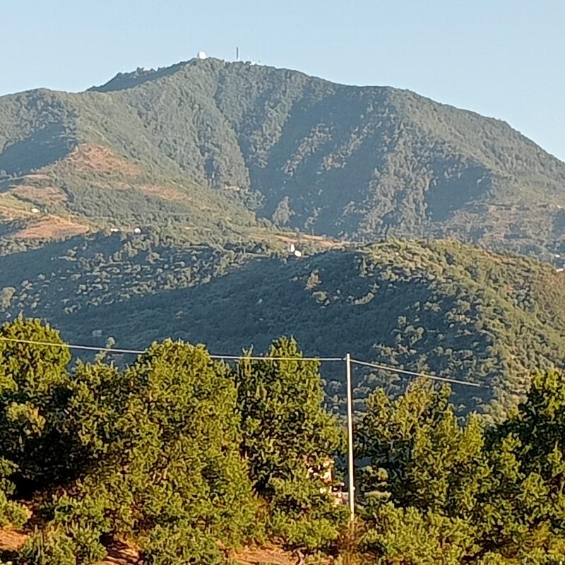 monte stella