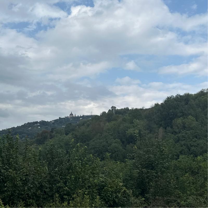 Fotosegnalazione di Torino reaglie
