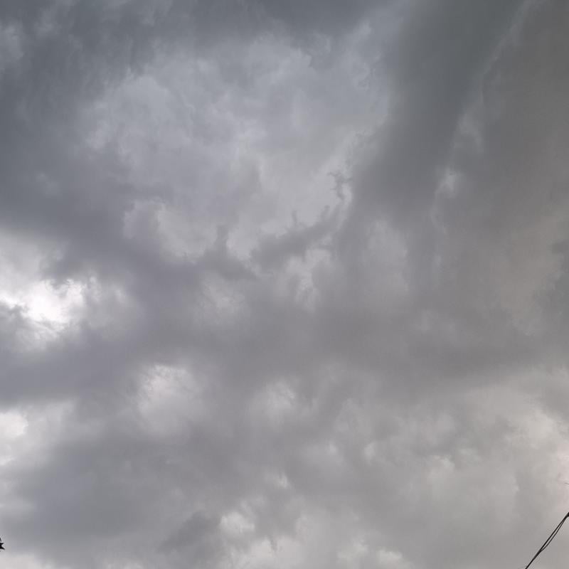 Fotosegnalazione di Meduna di livenza