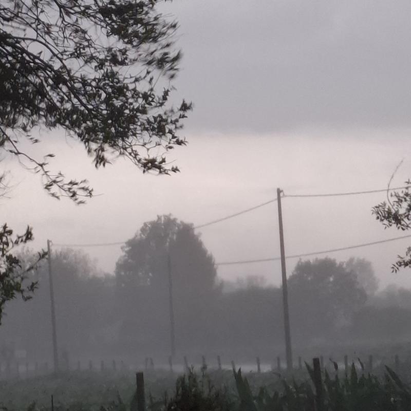 Fotosegnalazione di Meduna di livenza