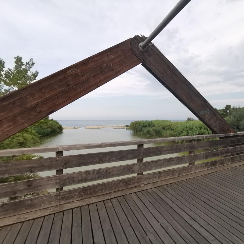 Fotosegnalazione di Tortoreto