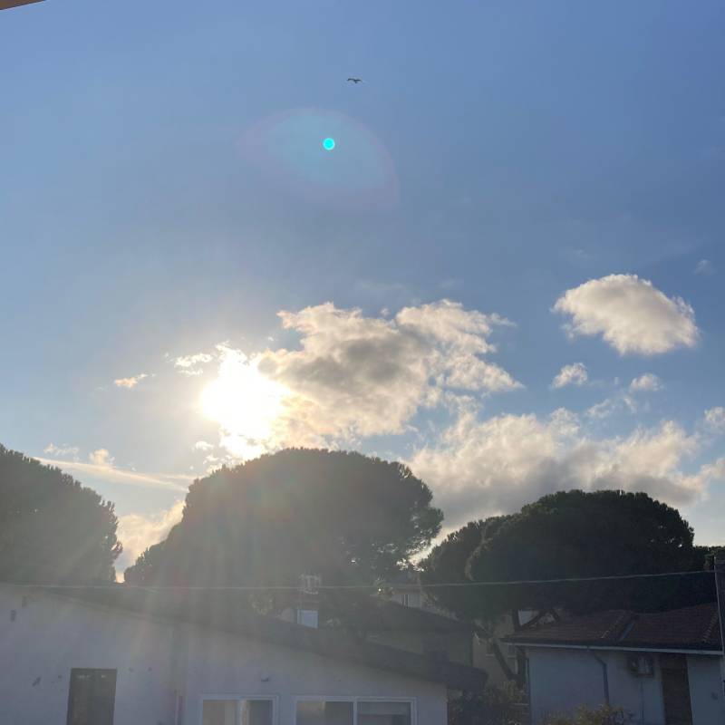 Fotosegnalazione di Este