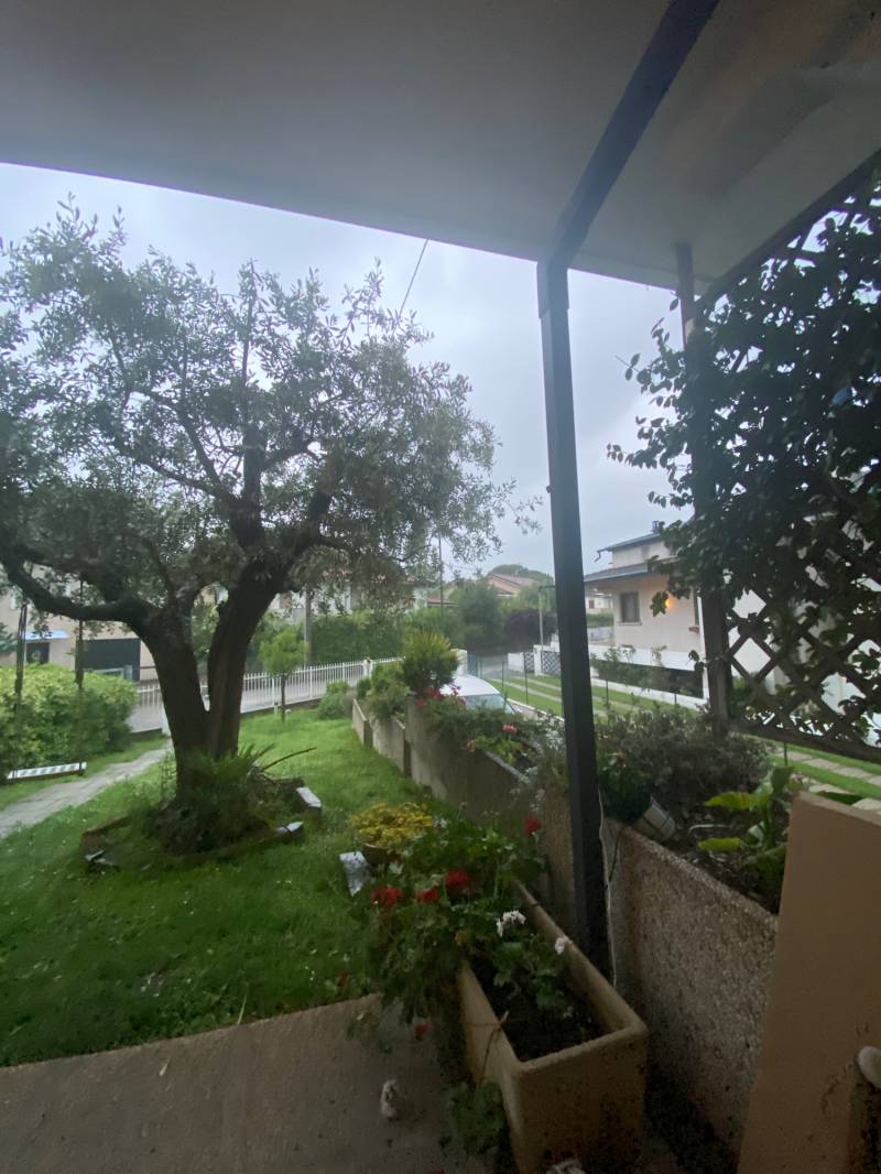 Fotosegnalazione di Este