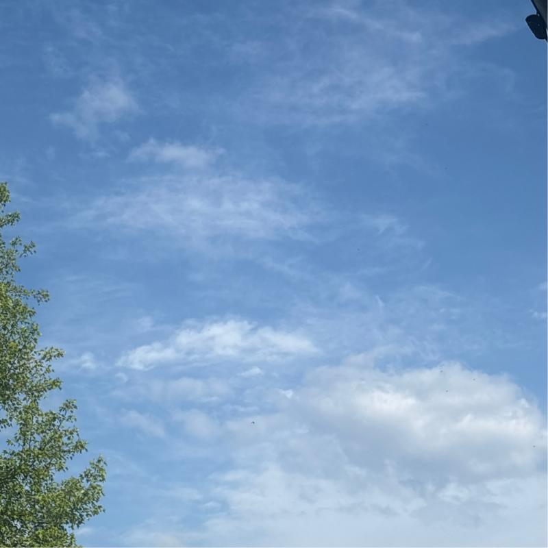 Fotosegnalazione di Arezzo colli aretini