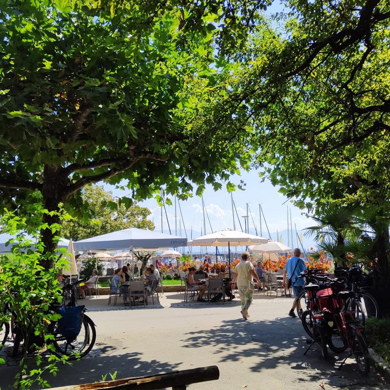 Fotosegnalazione di Lindau