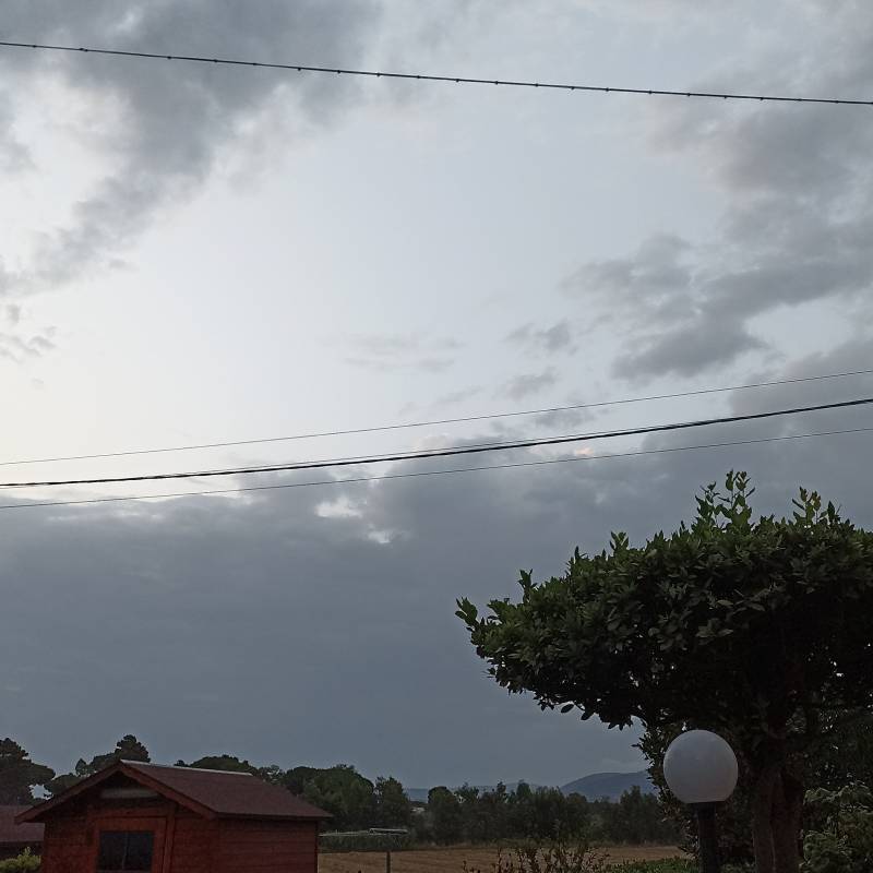 Fotosegnalazione di Castagneto carducci