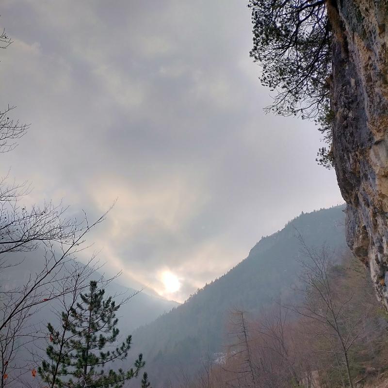 Fotosegnalazione di Trambileno