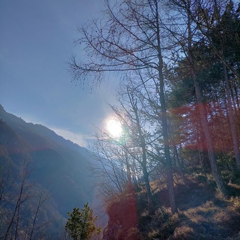 Fotosegnalazione di Trambileno