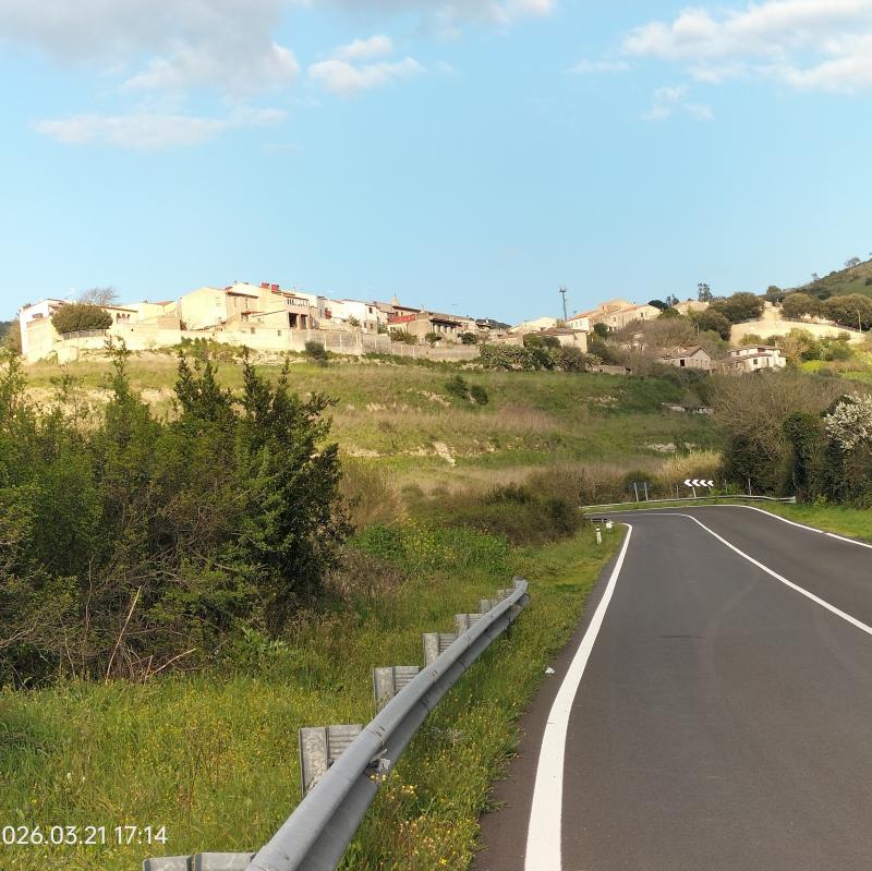 Fotosegnalazione di Mara