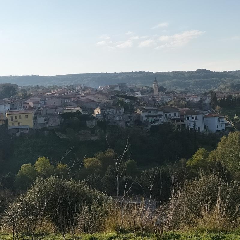 Fotosegnalazione di Mara