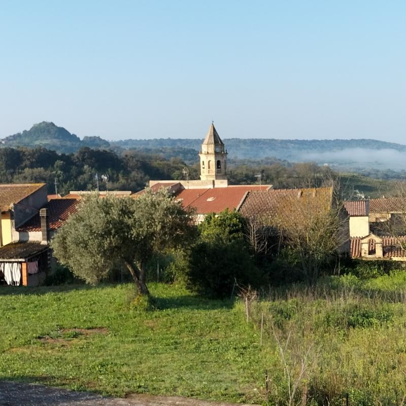 Fotosegnalazione di Mara