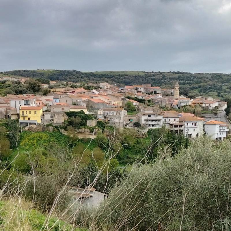 Fotosegnalazione di Mara