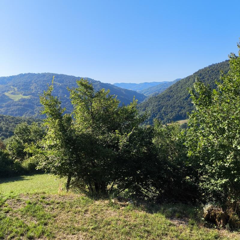 Fotosegnalazione di Polinago
