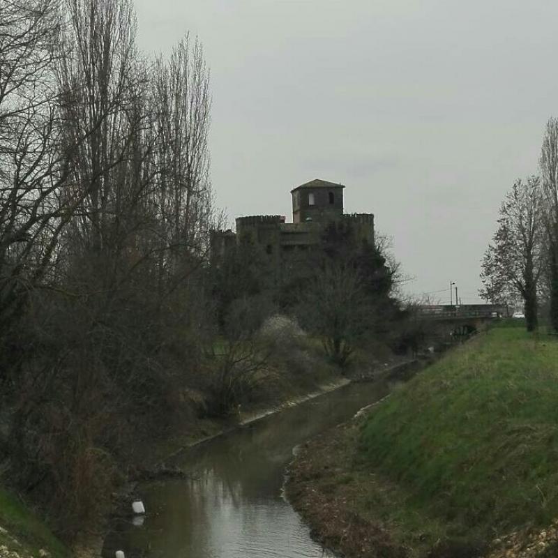 Fotosegnalazione di Lozzo atestino