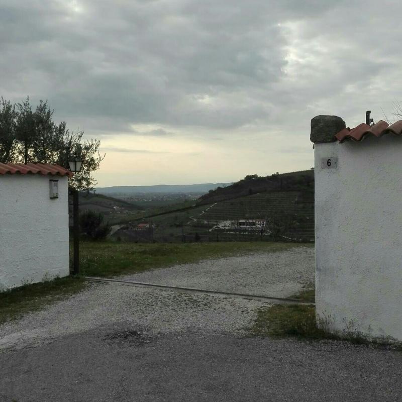 Fotosegnalazione di Cinto euganeo
