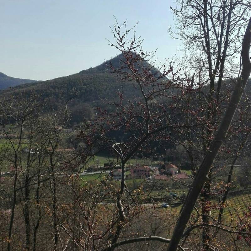 Fotosegnalazione di Cinto euganeo