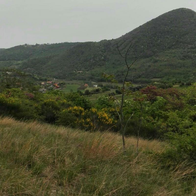 Fotosegnalazione di Cinto euganeo