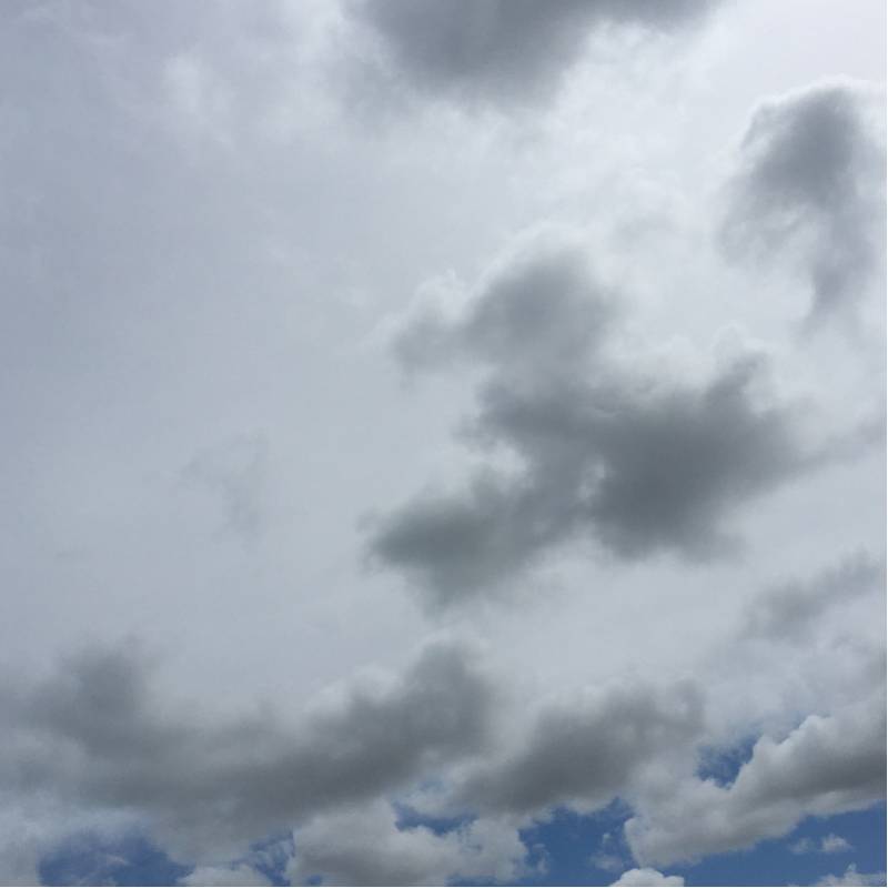 Fotosegnalazione di Senigallia