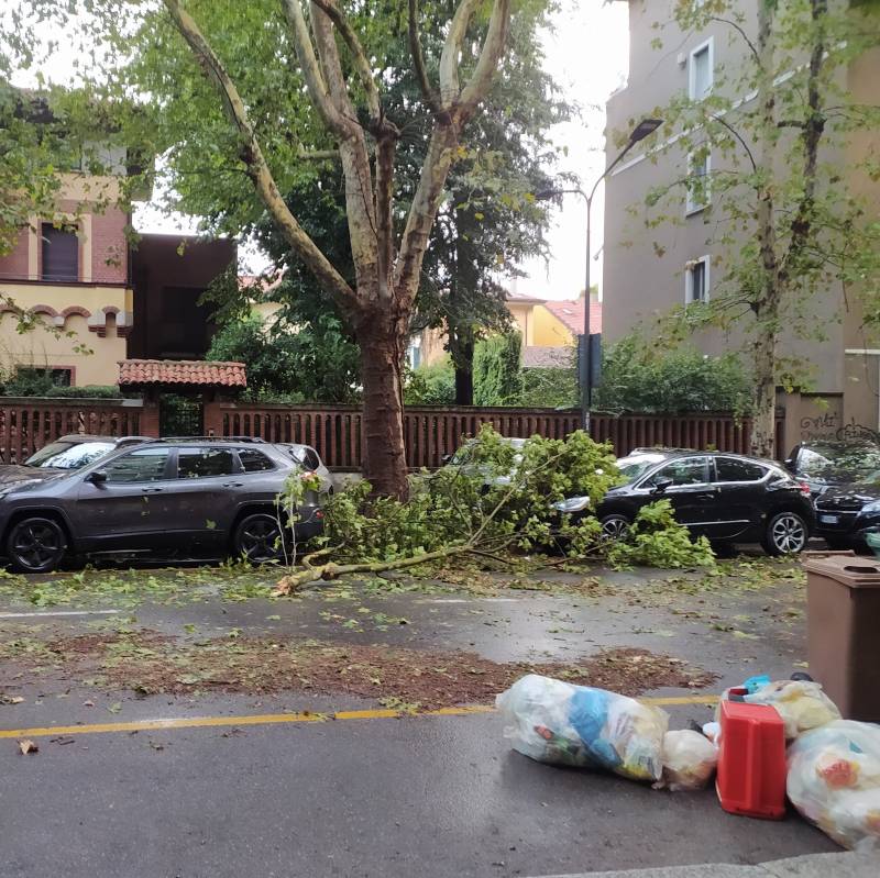 Fotosegnalazione di Milano de angeli